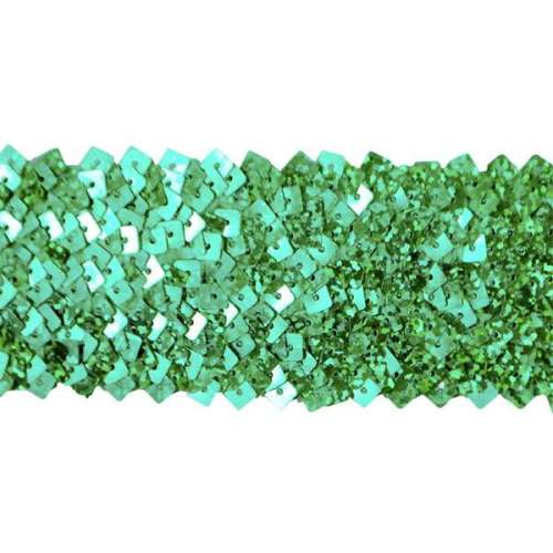 E4564  Green Stretch Starlight Sequin Trim