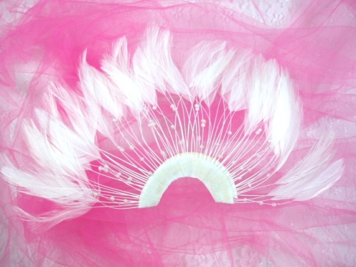MR003   White Half Circle Feather Applique 8"