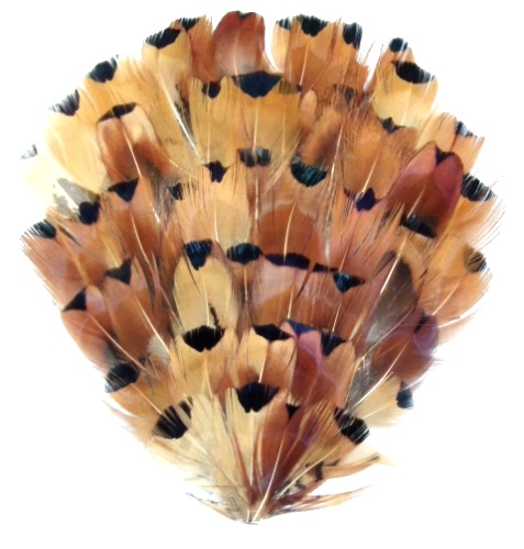 MR005 Bronze black Feather Applique Pad