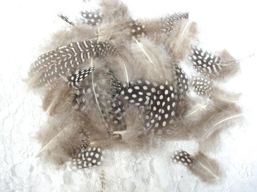 MR009  Guinea Loose Feathers  3 grams