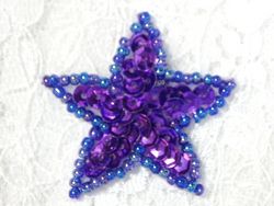 0111  Purple Star Beaded Sequin Applique 1.5"
