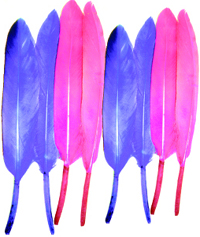 MR38183 Set of 24 Lavender & Pink Mini Indian Feathers