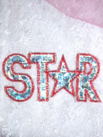 DS4  Red Star Holographic Applique 3.25"-star,applique,embroidered