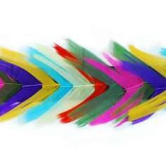 P4004 Multi Color Feather Trim Pre-Cut 36"