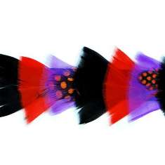 P4009 Black Purple & Red Feather Trim Pre-Cut 36"