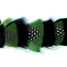 P4016 Olive & Black Feather Trim Pre-Cut 36"