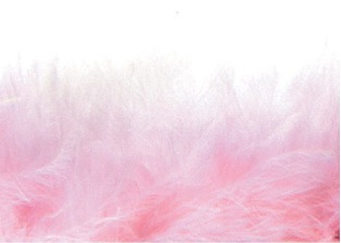 E3760  Pink Marabou Feather Fur Sewing Trim 2"