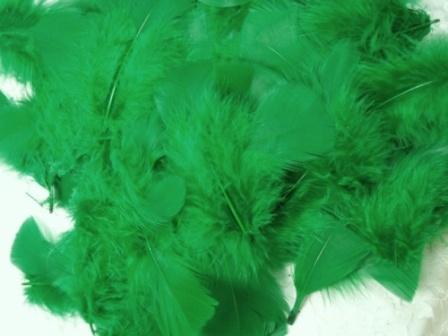 MR001 Package of Green Feathers 14 grams-feather,green