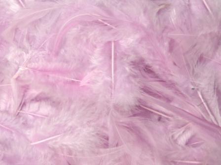 MR001 Package of Lavender Feathers 14 grams-feather,lavender