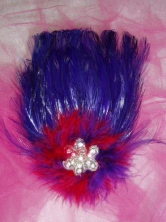 FB29 Red & Purple Rhinestone Feather Applique Brooch  6"